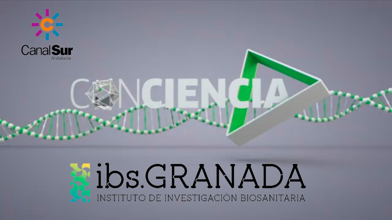 El Instituto de Investigación Biosanitaria de Granada es premiado por Canal Sur TV