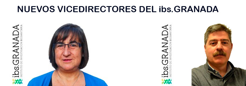 Nombramiento de 2 Vicedirectores del ibs.GRANADA