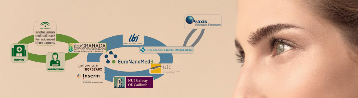 Un grupo de investigación del ibs.GRANADA lidera un proyecto europeo para el desarrollo de un nuevo modelo nanotecnológico de piel artificial humana