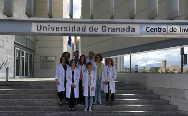 Investigadores del ibs.GRANADA demuestran que las células madre mesenquimales que dan soporte al tumor favorecen la expansión de las células madre cancerígenas más agresivas