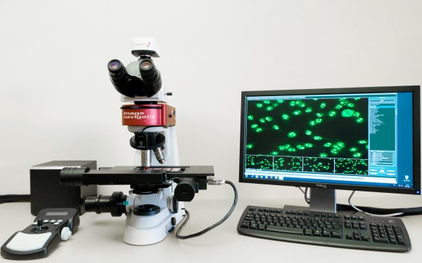 El ibs.GRANADA busca un candidato especialista en Citometría y/o Microscopía Confocal para la Plataforma de Servicios Científico-Técnicos