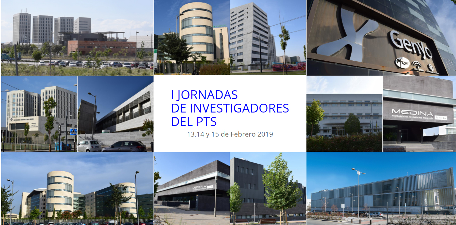 Más de 400 investigadores participan en el I Congreso de Investigadores del PTS