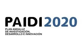 Convocatoria de contratos de personal investigador doctor. PAIDI2020