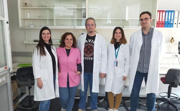 Científicos del ibs.GRANADA descubren el papel clave de una proteina en la interacción entre sistema nervioso y neuronas durante el dolor neuropático